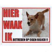 honden foto honden foto van Bella