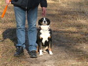 honden foto van Caroline