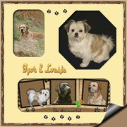 honden foto van Irene,Igor en Loesje