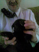 honden foto van Jurgen