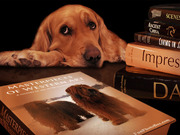 honden foto van Femke