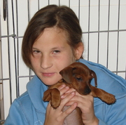 honden foto van maxine