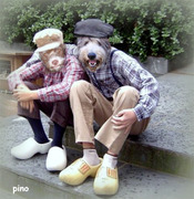 honden foto van annemarie kroes