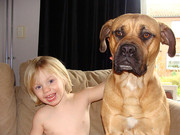 honden foto van ROXX