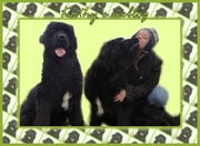 honden foto honden foto van Kathy