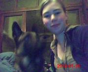 honden foto honden foto van Feyen Sarah