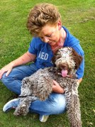 honden foto van DogPlaza Twente