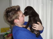 honden foto van Brenda & Reza