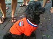 honden foto van marielle