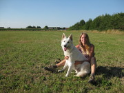 honden foto van Kristel De Reymaeker