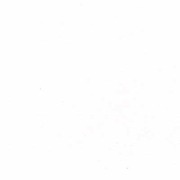 honden foto van samantha