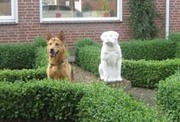 honden foto van Sandra