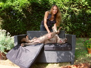 honden foto van vipdogpark