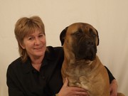 honden foto van jolanda 