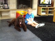 honden foto van mitch