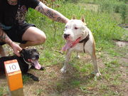 honden foto van mario 