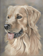 honden foto van Sir Justin 