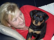 honden foto van ciska