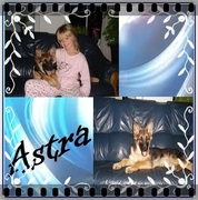 honden foto van MandyloveAstra