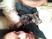 honden foto honden foto van Priscilla