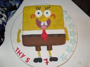 honden foto van zoey