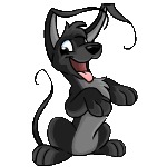 honden foto van Nastasha