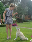 honden foto van Jeanine & Niki de Noorse Buhund