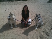 honden foto van rebecca