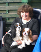 honden foto honden foto van r.wolters