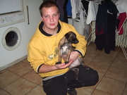 honden foto honden foto van yves