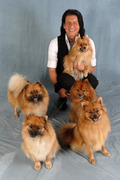 honden foto van John Cawley