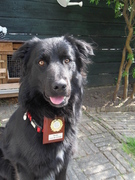 honden foto van Henriekaaaaahhh