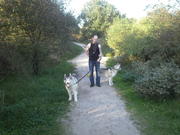 honden foto van leo met 