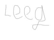 honden foto van niets