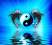 honden foto van francisca 