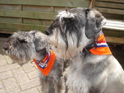 honden foto van Caroline