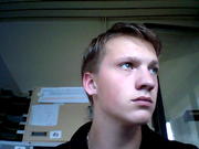 honden foto honden foto van Tim Du Caju