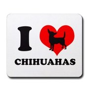 honden foto van zoey