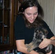 honden foto honden foto van Marijn