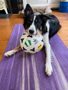 honden foto van Linda 