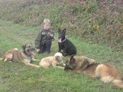 honden foto van Maria