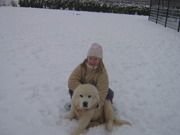 honden foto van Sylvia