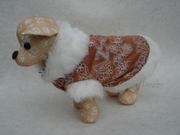 honden foto van GlossyDoggy / Trimsalon Elysium