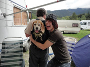 honden foto honden foto van Maurits