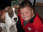 honden foto van tamara