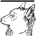 honden foto van Aureaus