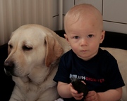 honden foto van lia van Hamont