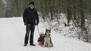 honden foto van Nick