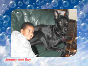 honden foto van trudie