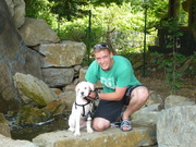 honden foto van callens kristof